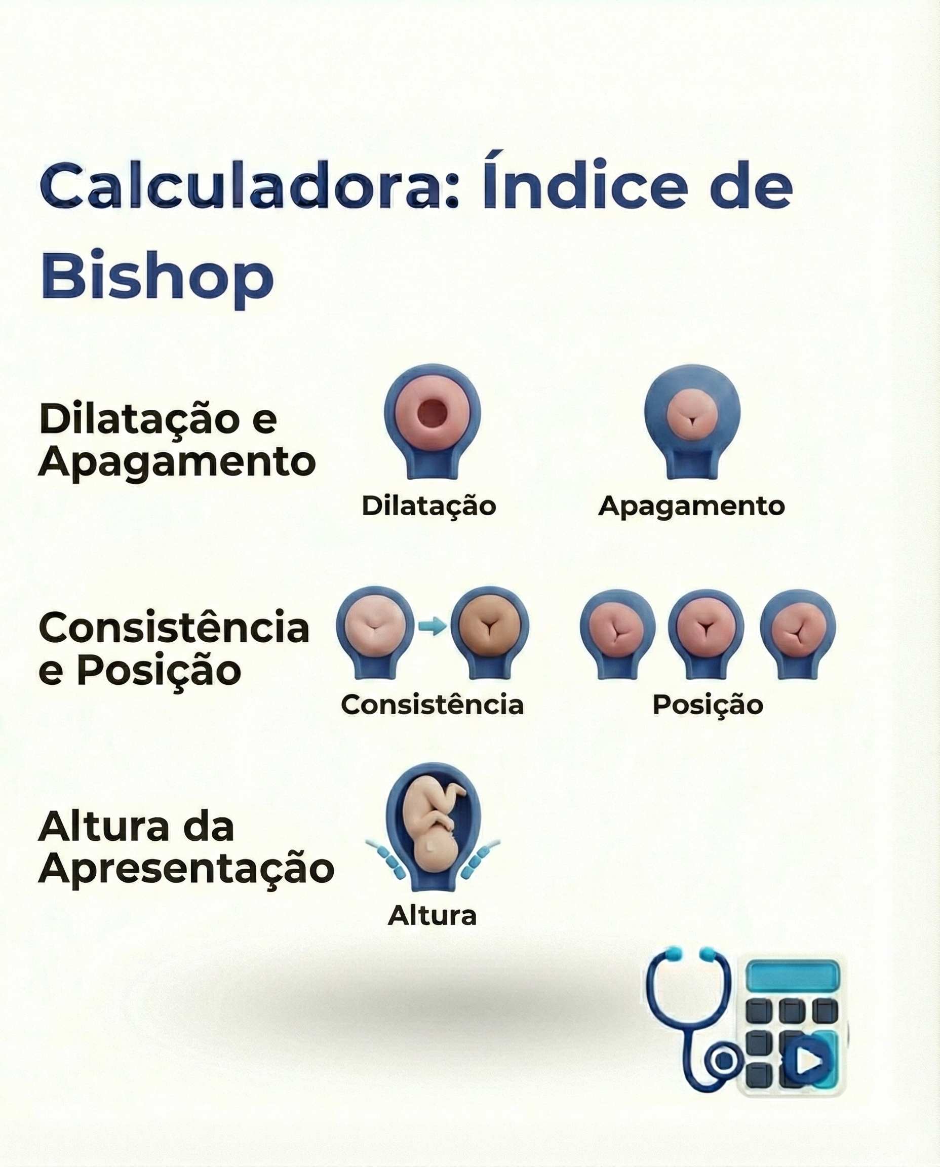 INDICE DE BISHOP